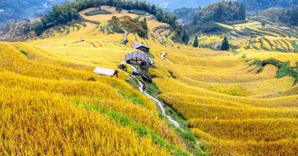 Top 10 des Destinations Émergentes à Explorer