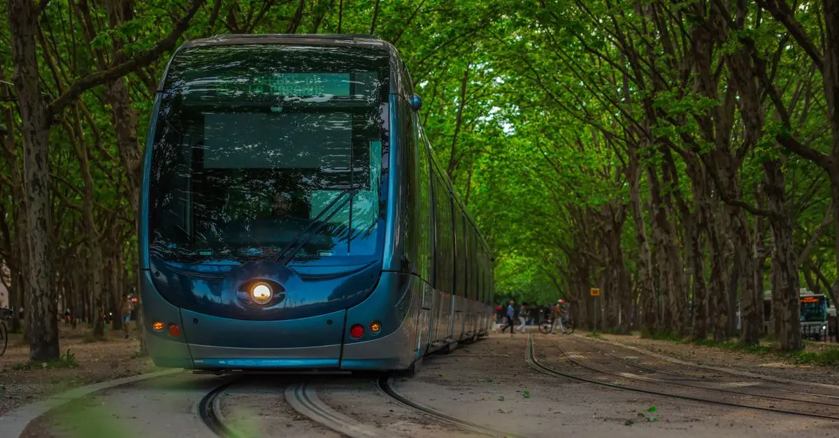 Les Incontournables pour un Voyage Écologique