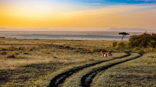 Comment Créer des Expériences de Voyage Écotourisme Inoubliables