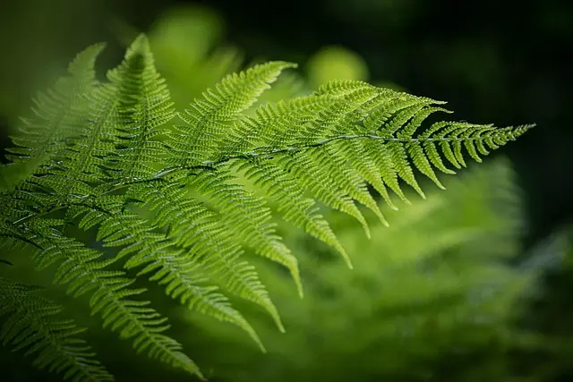 Découvrez les Meilleures Expériences de Voyage Écoresponsables