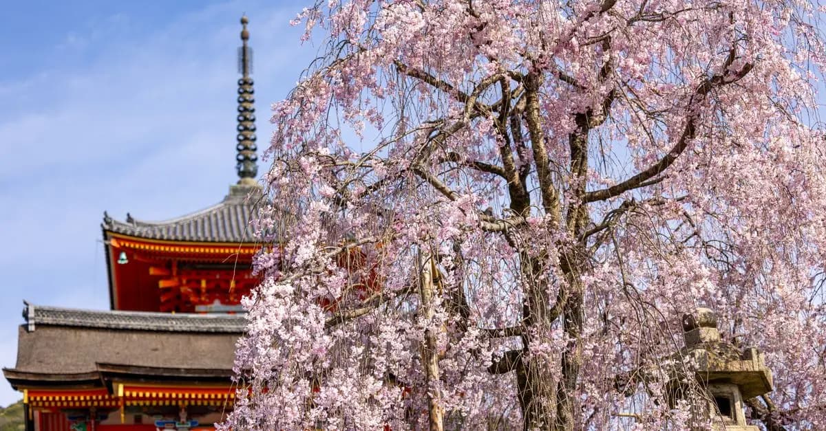 Top 10 des Destinations pour des Expériences Authentiques
