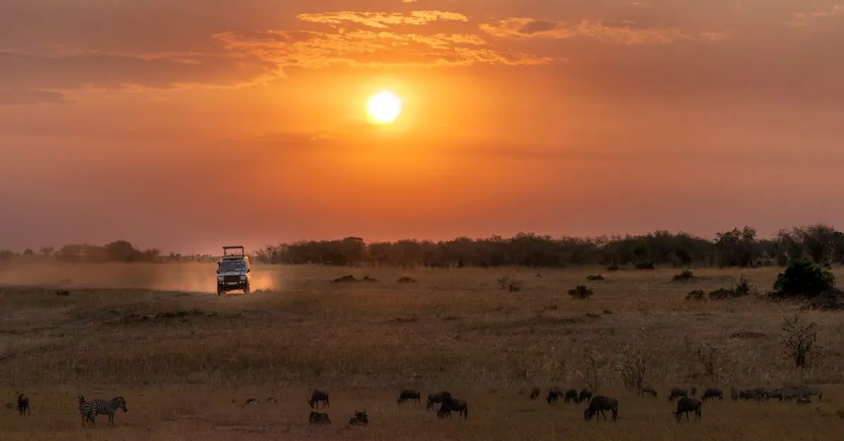 Les Meilleures Expériences de Voyage à Essayer Absolument