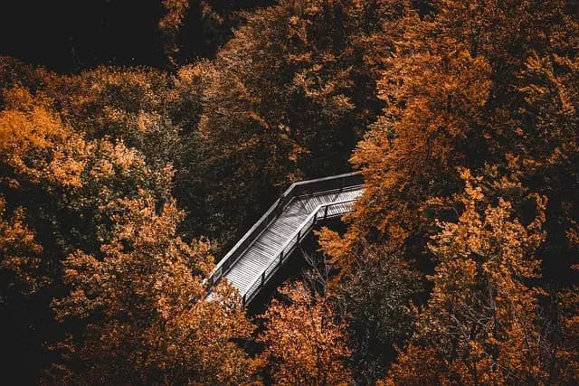 10 Activités Incontournables pour Vivre des Expériences Uniques