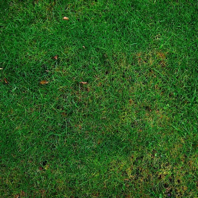 Voyager Écologiquement : 10 Astuces pour des Expériences Durables