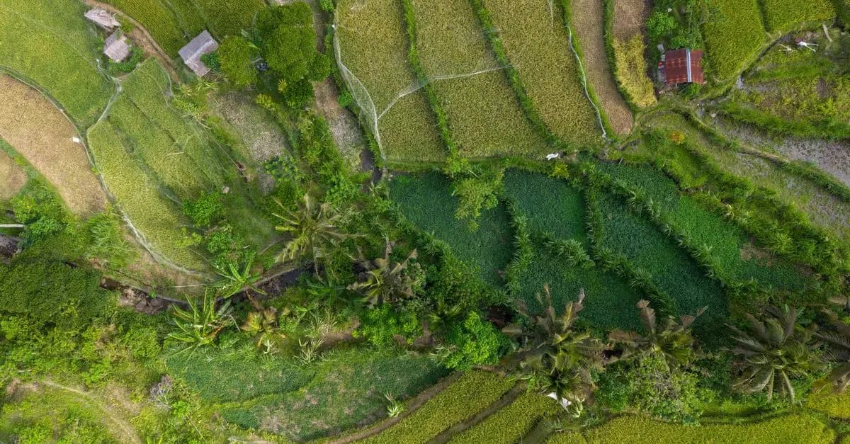 Top 10 des Expériences de Voyage Écoresponsables à Tester