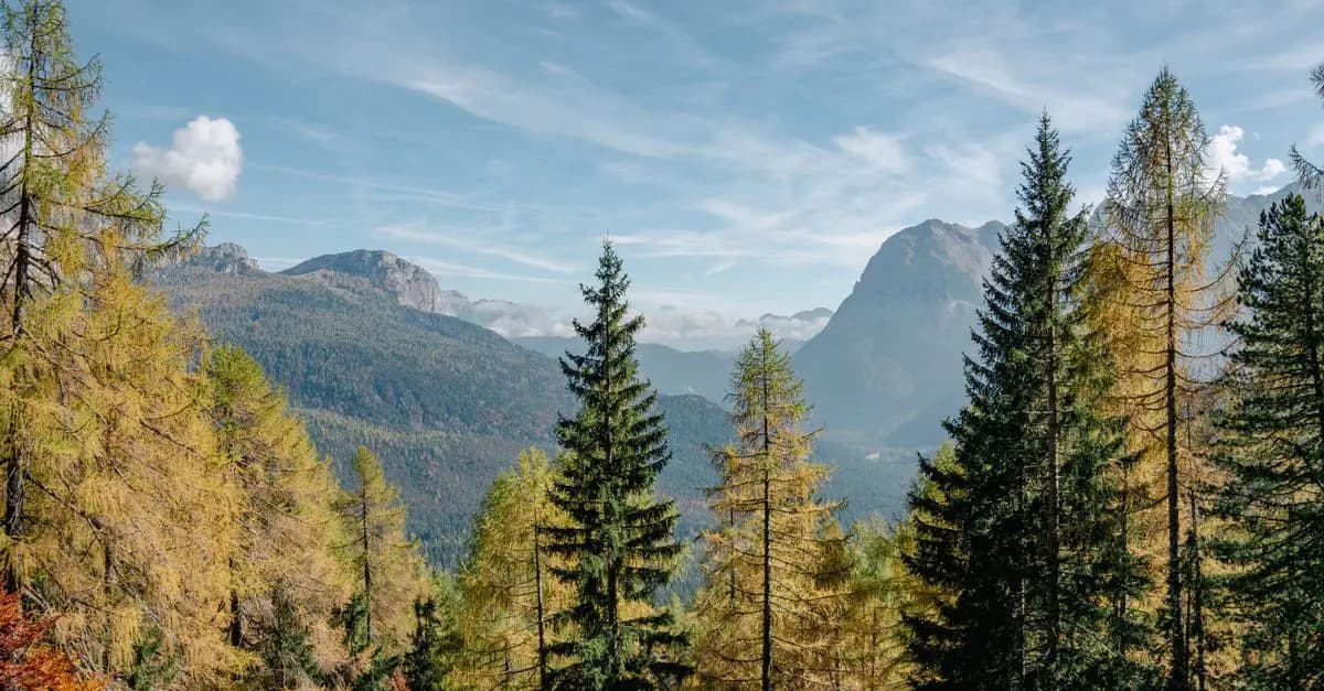 Impact du Réchauffement Climatique sur le Tourisme
