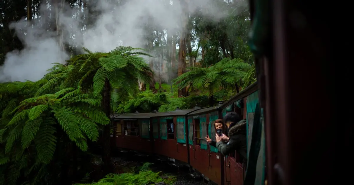 Voyager en Train : Écotourisme et Aventures Lentes