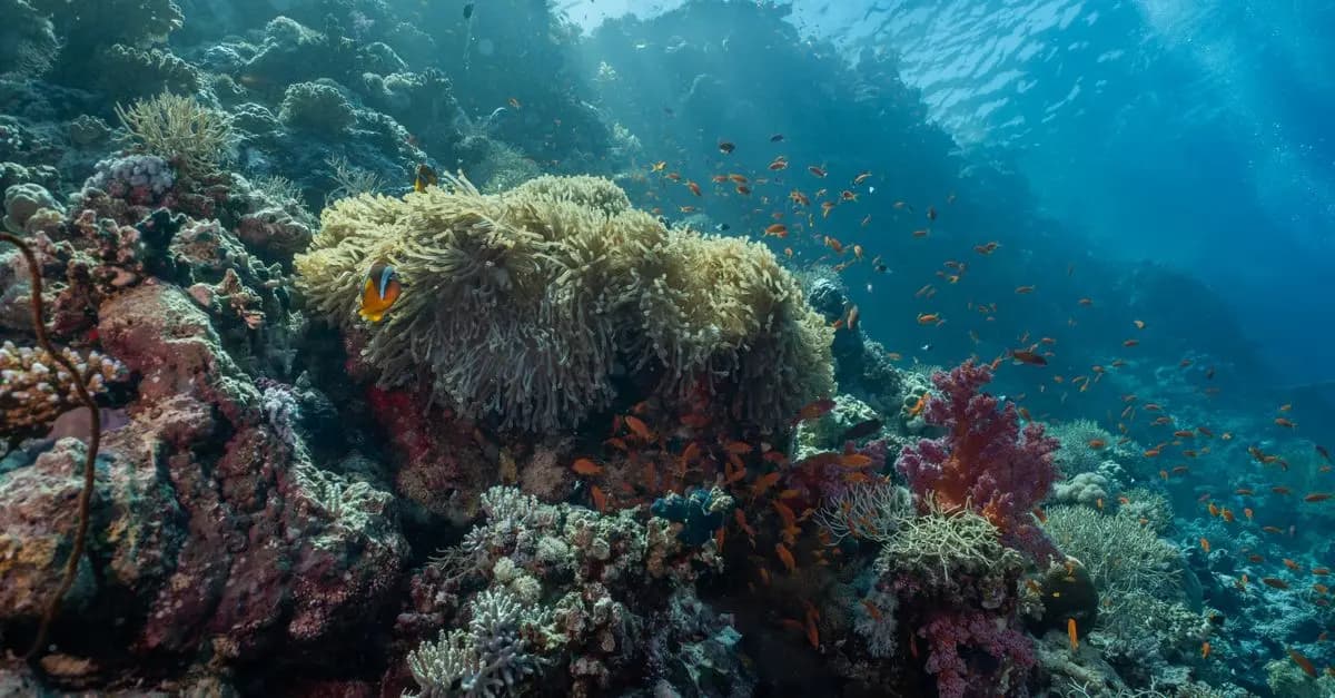 Les Meilleures Expériences de Voyage à Vivre Absolument