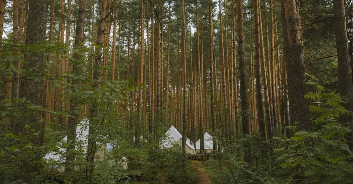 Camping de Luxe : Une Tendance à Découvrir