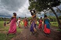 De rencontres en safaris