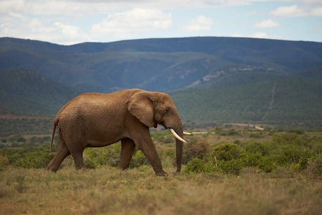 Les 10 Meilleures Destinations Écotourisme à Ne Pas Manquer