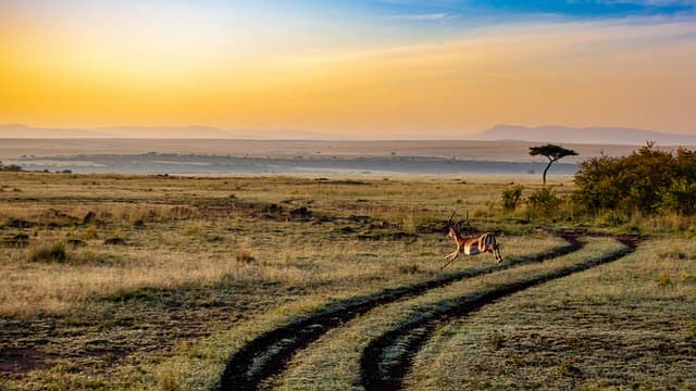 Les 10 Meilleures Activités Écotourisme à Tester