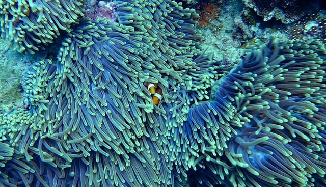 Les 10 Meilleures Expériences de Voyage à Vivre Absolument