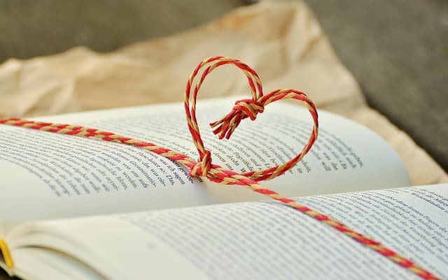 Comment Choisir les Meilleures Expériences de Voyage à Réserver